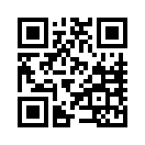 網(wǎng)站二維碼